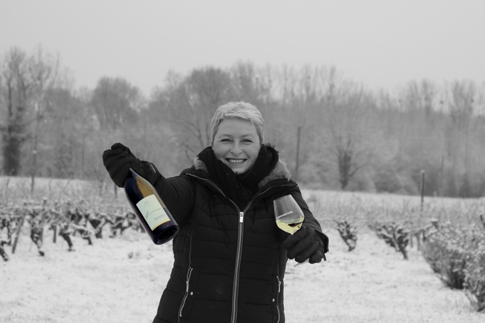 La vigne et le vin pou les nuls La vigne et le vin pou les nuls